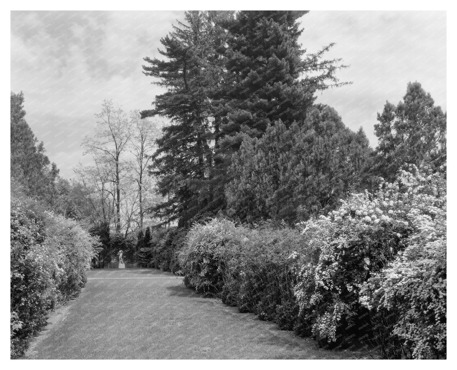 Leesburg VA Garden Estate Photo, Early 20th Century