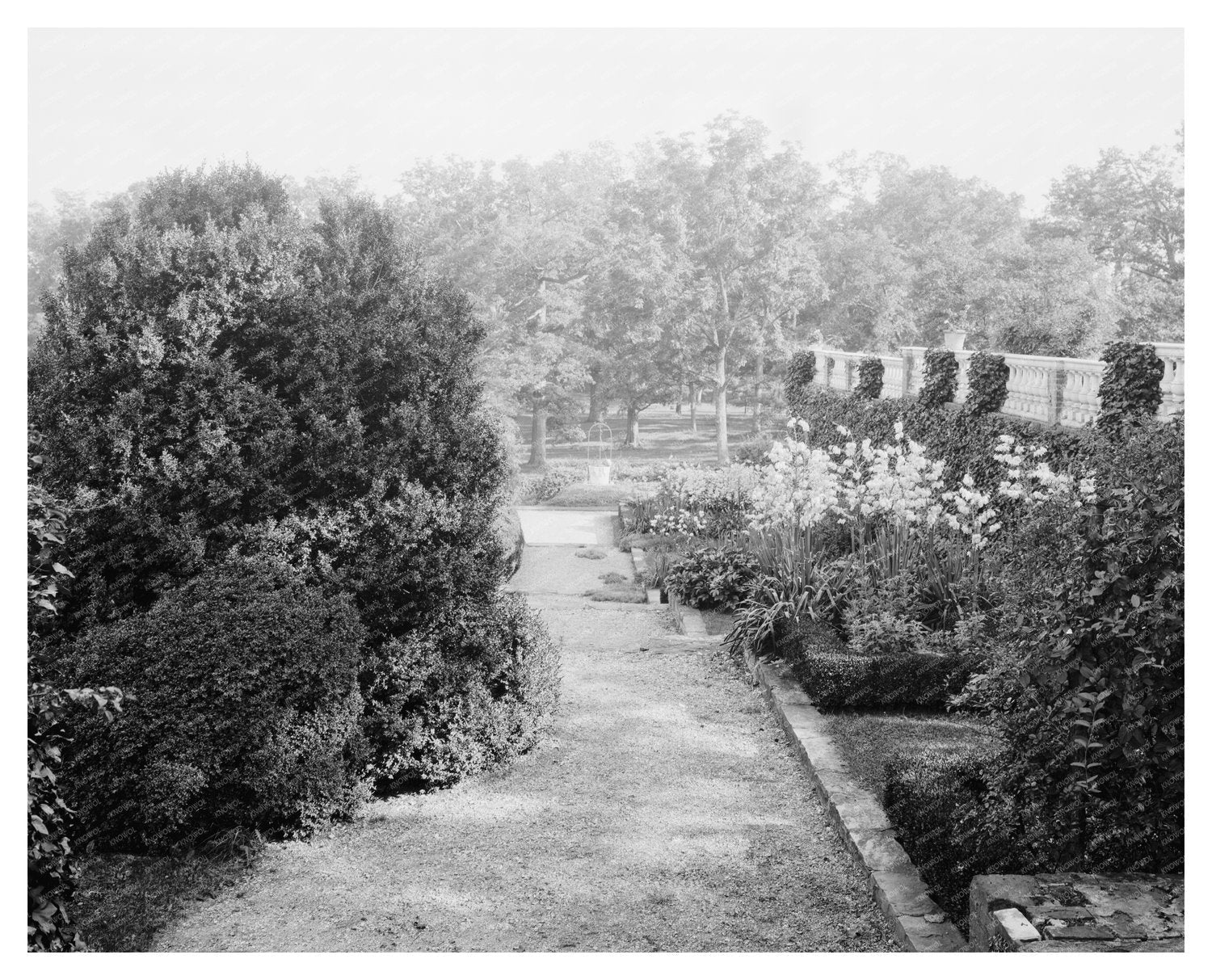 Vintage Estate Photo, Leesburg, VA, 1953