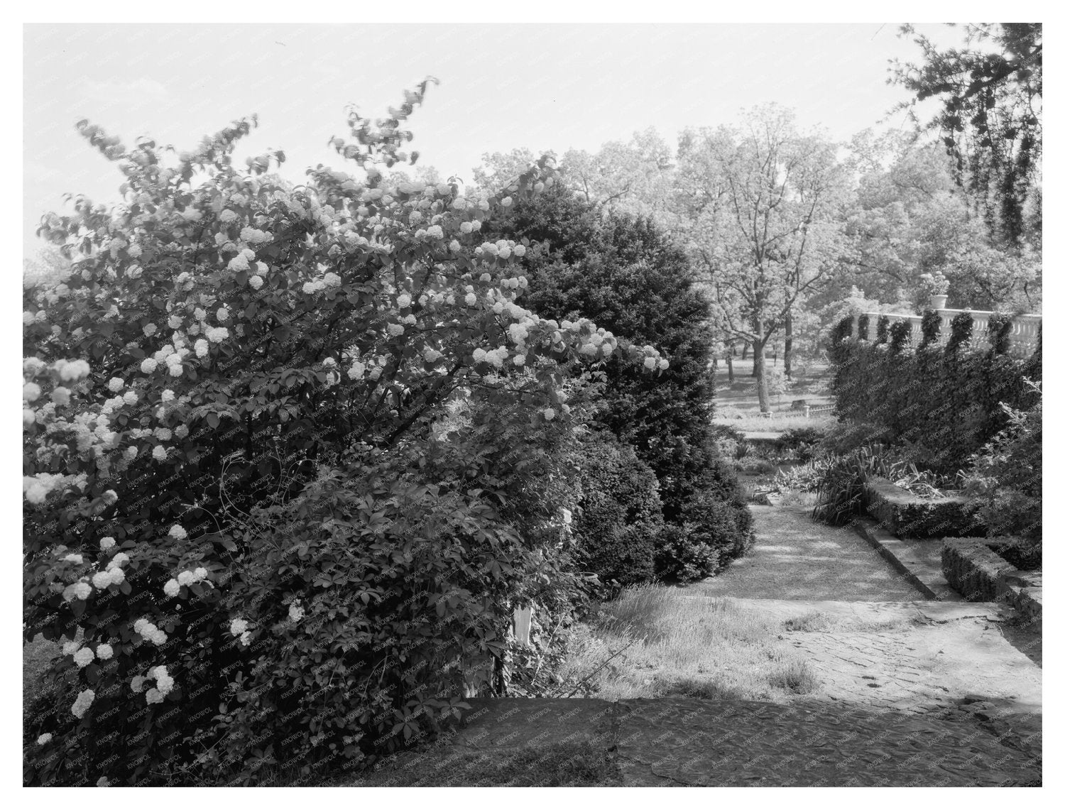 Estate Garden in Leesburg, VA - 1939 Vintage Photo