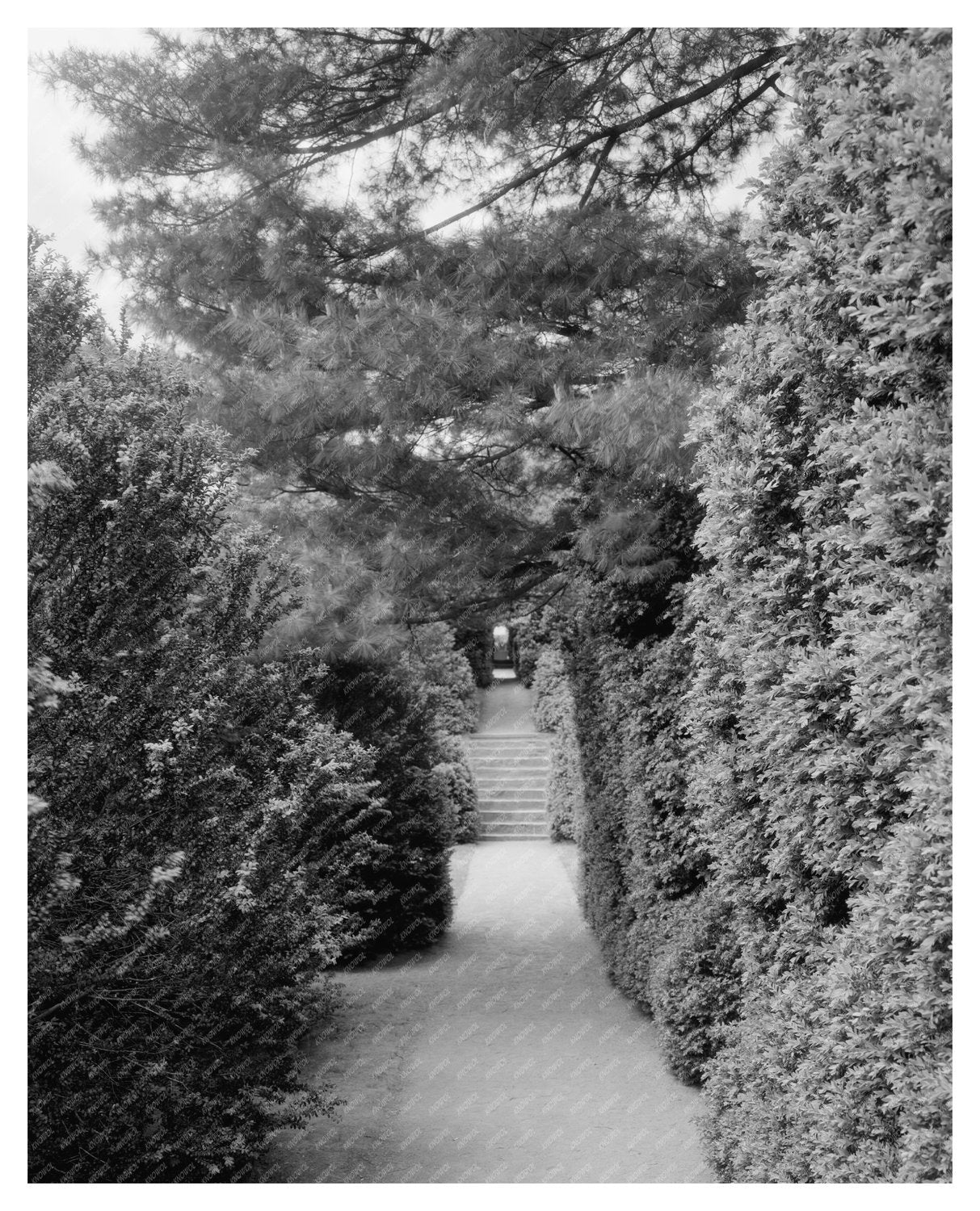 Vintage Landscape in Leesburg, VA – Early 20th Century