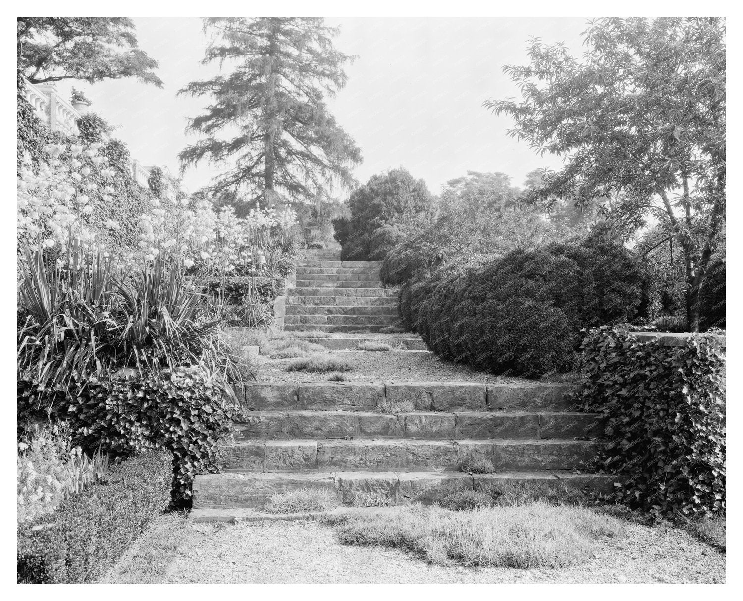 Leesburg VA Estates Photo, Early 20th Century
