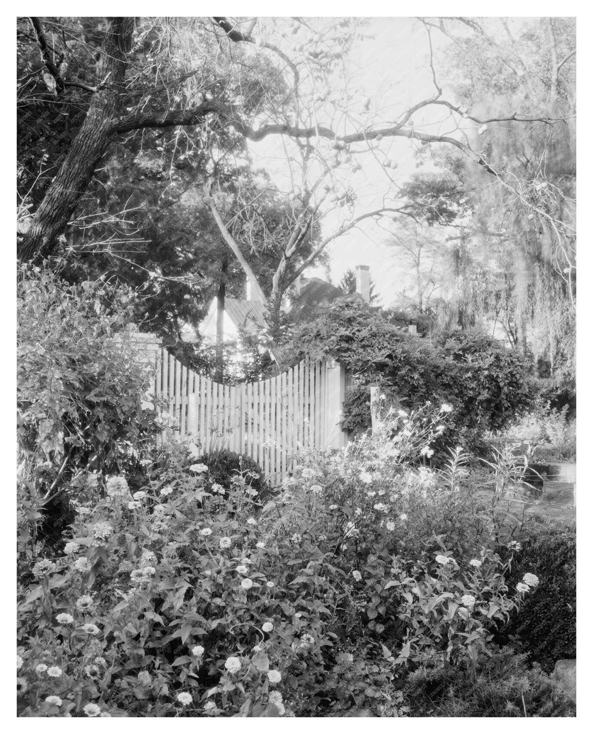 Historic 1783 Structure in Louisa County, Virginia