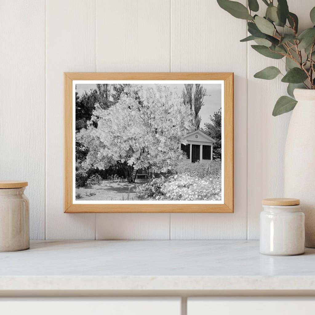 Garden Scene in Warrenton, Virginia, Early 20th Century