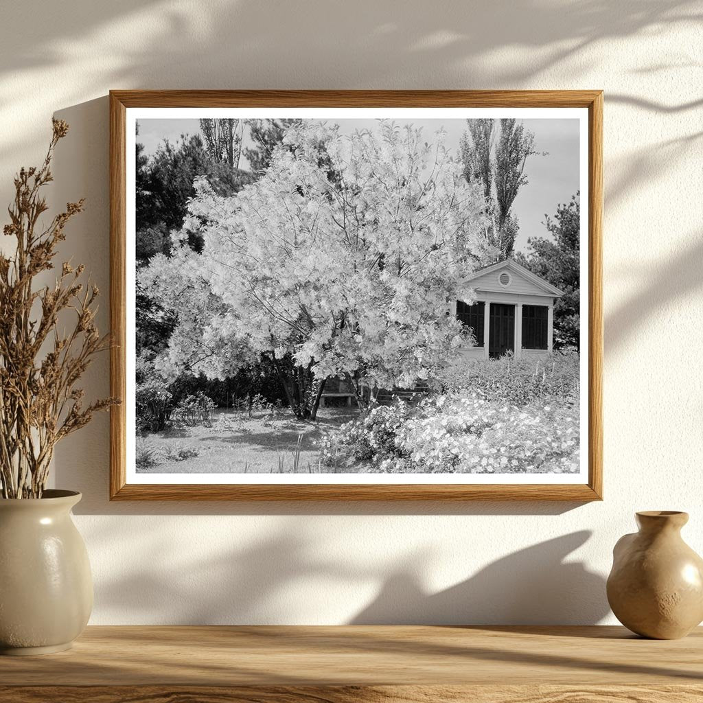 Garden Scene in Warrenton, Virginia, Early 20th Century