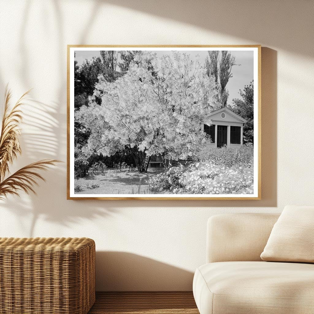 Garden Scene in Warrenton, Virginia, Early 20th Century