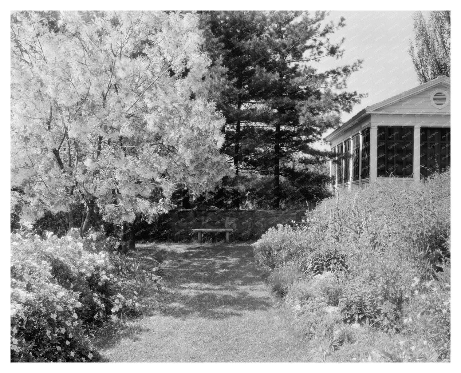Warrenton VA Garden Photo from Mid-20th Century