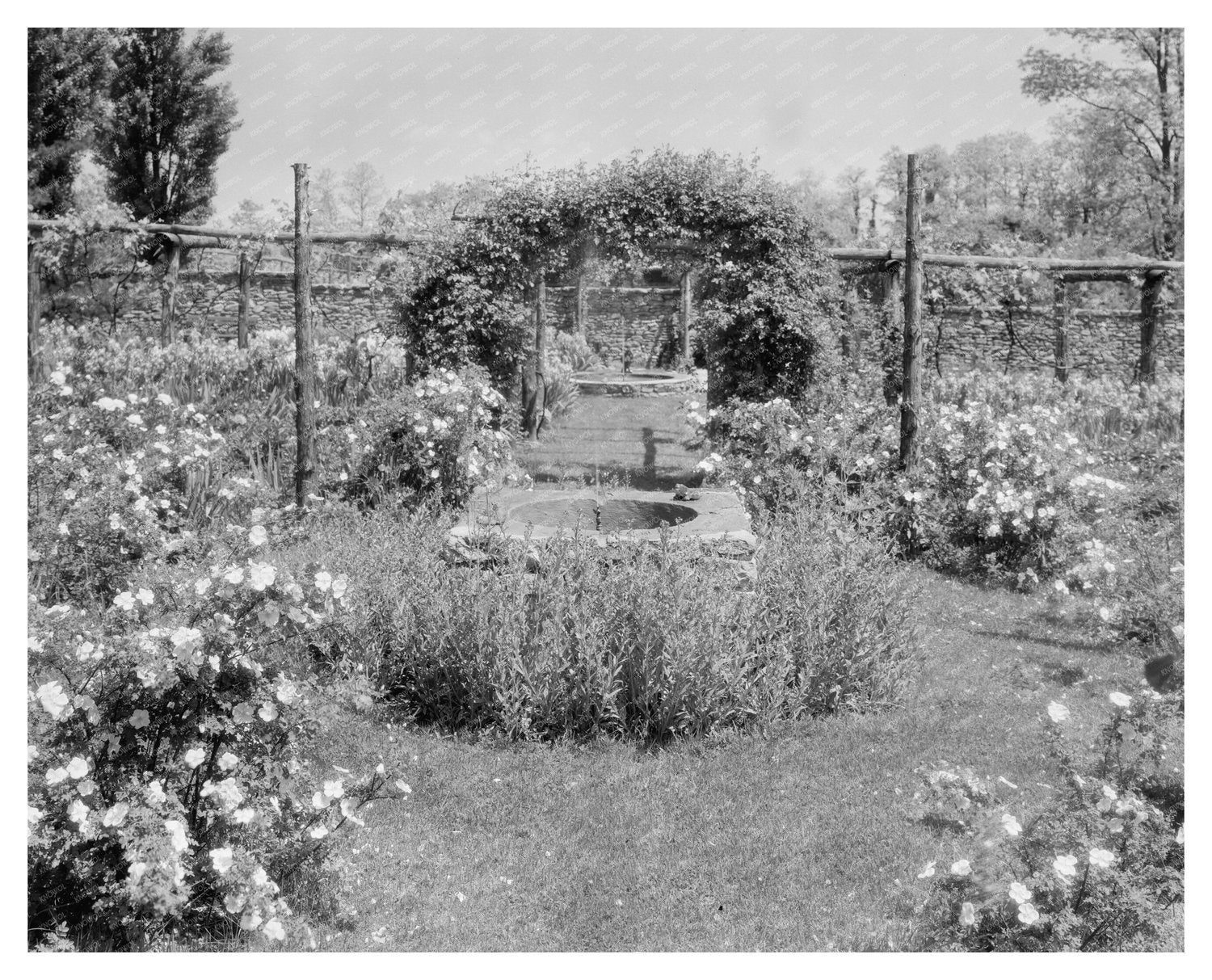 Warrenton VA Garden Scene, 1953 Historical Photograph