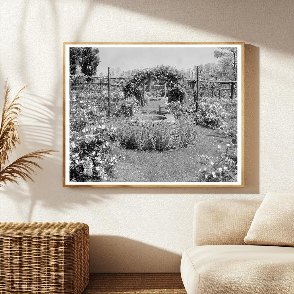 Warrenton VA Garden Scene, 1953 Historical Photograph