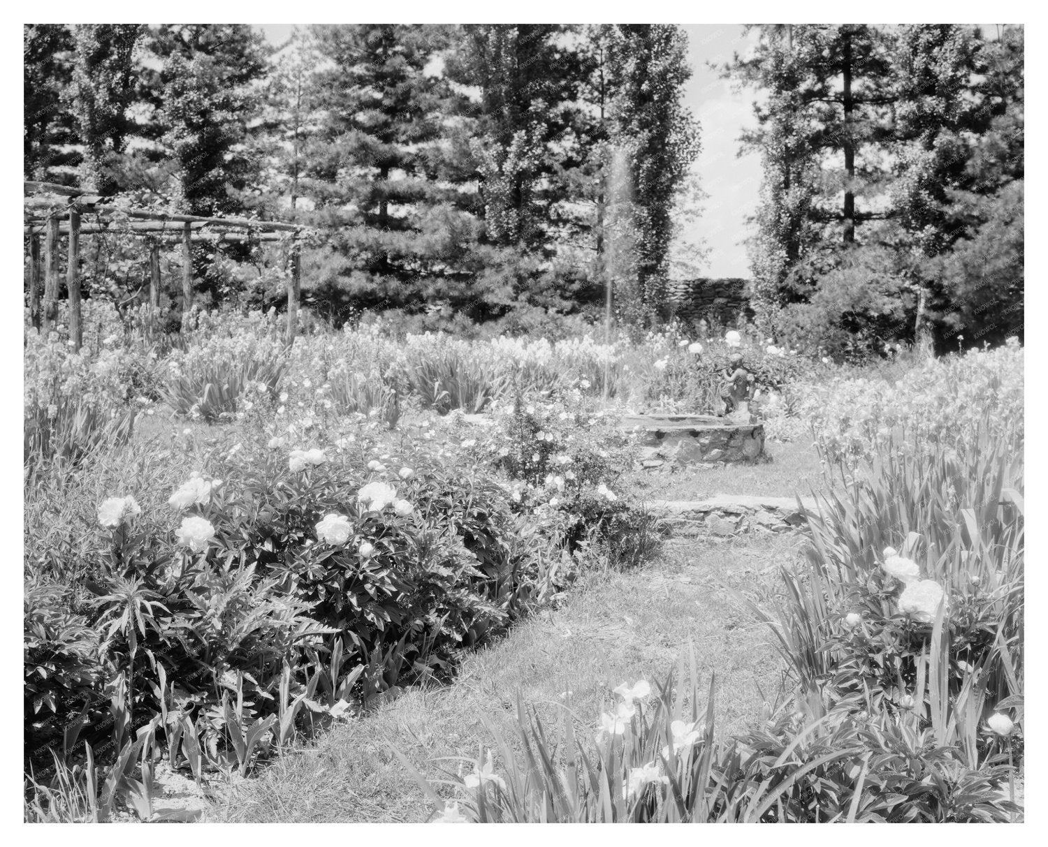 Vintage Gardens in Warrenton, Virginia, 1900s