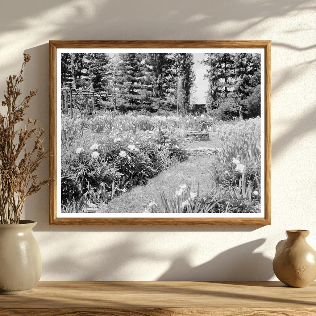 Vintage Gardens in Warrenton, Virginia, 1900s