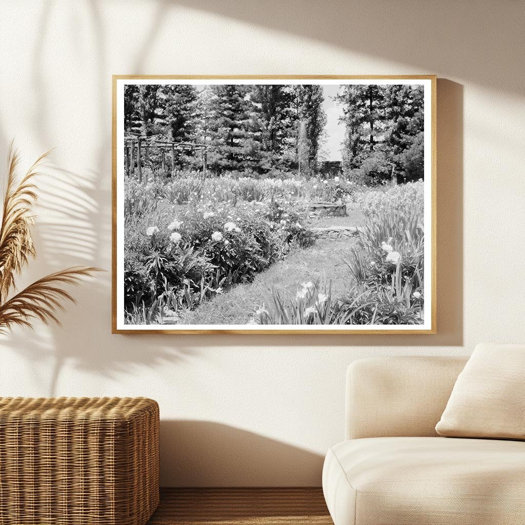 Vintage Gardens in Warrenton, Virginia, 1900s