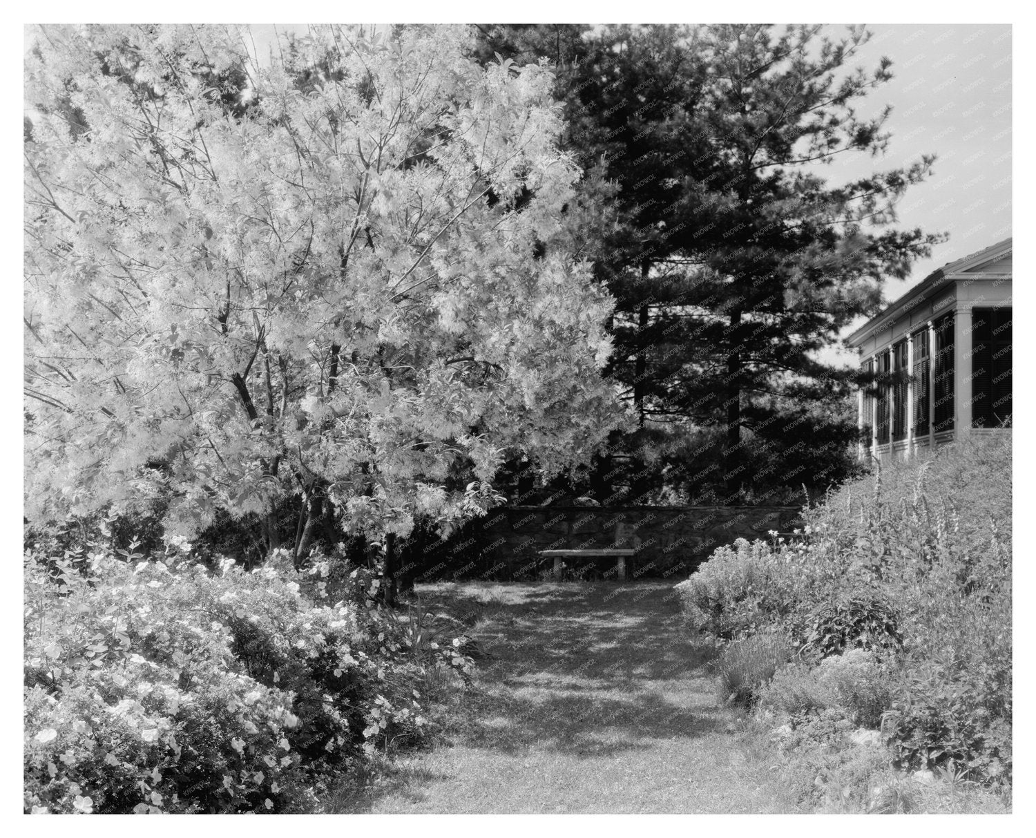 Vintage Garden Scene in Warrenton, Virginia, 20th Century