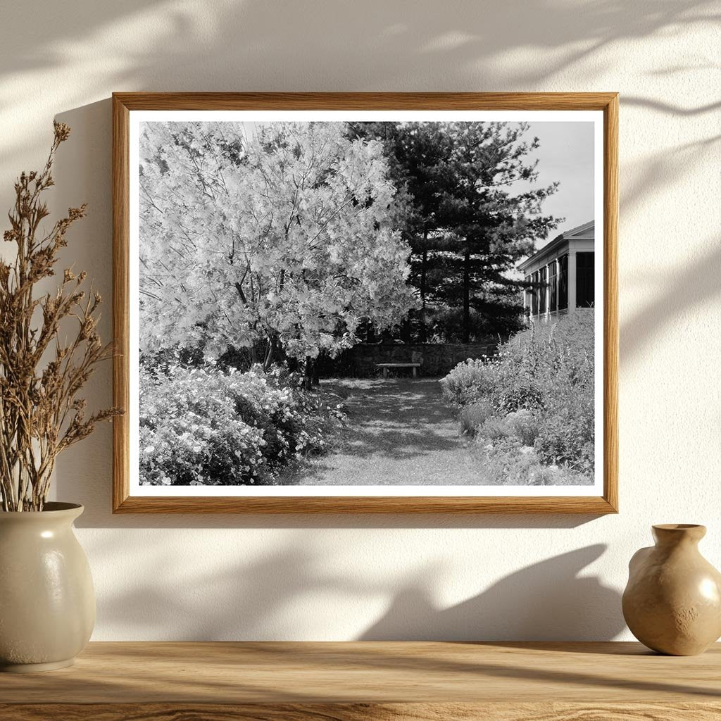 Vintage Garden Scene in Warrenton, Virginia, 20th Century