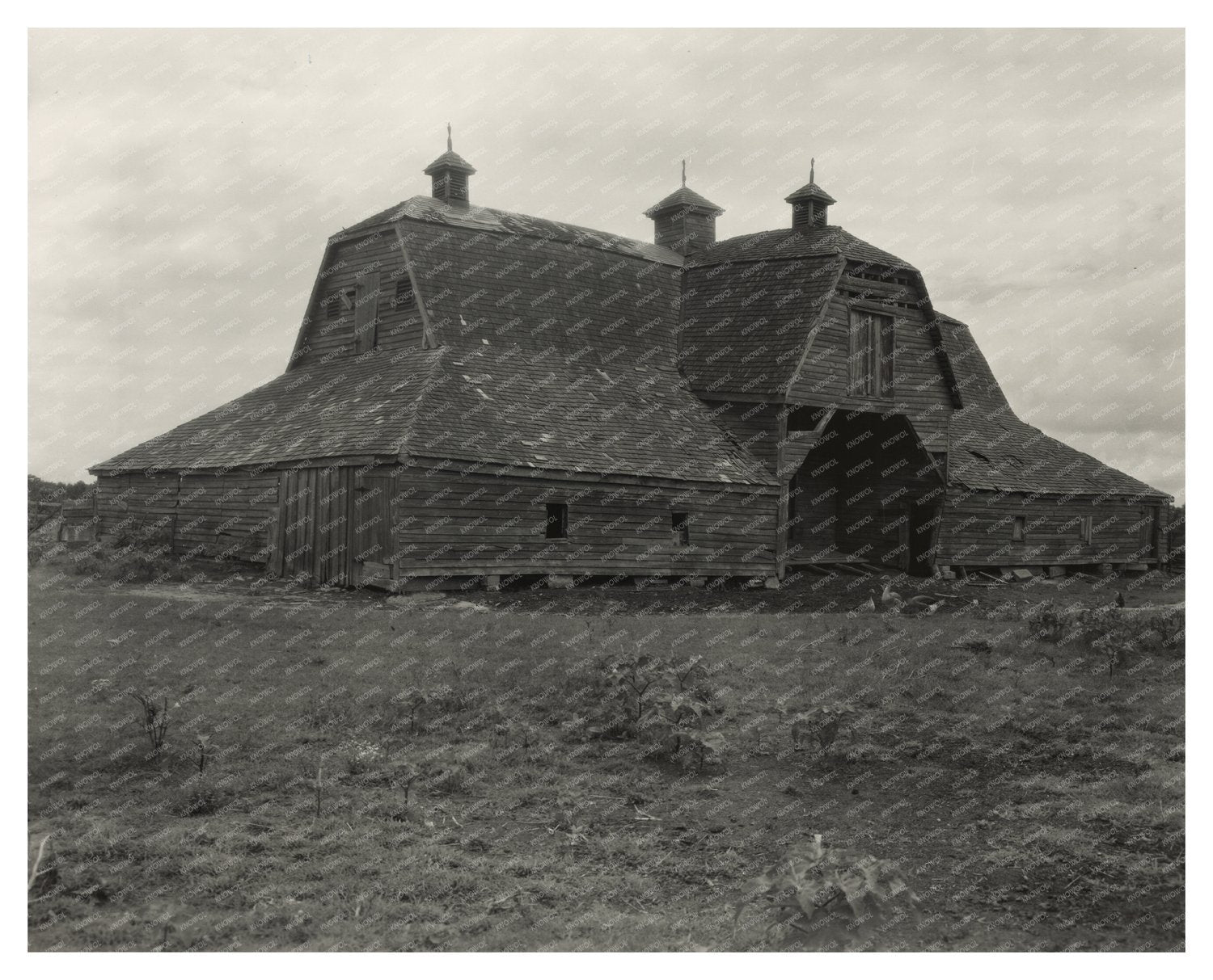 Northumberland County, VA Architecture, 1953 Photograph