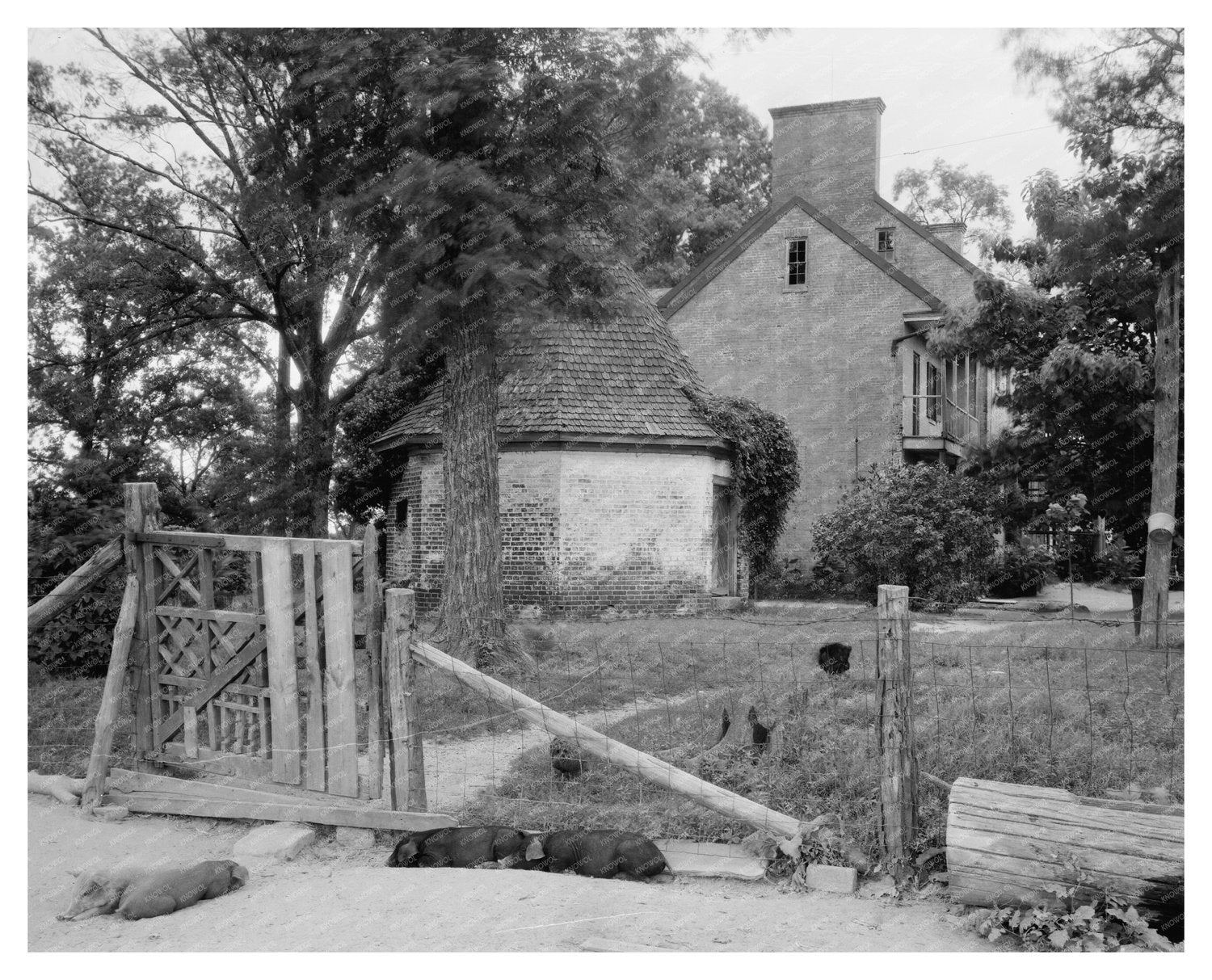 Presley Family Estate, Northumberland VA, Early 1900s