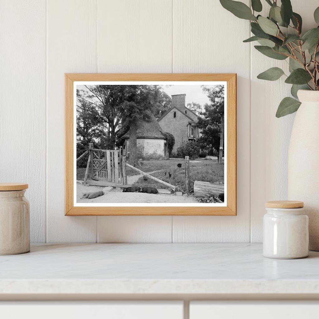 Presley Family Estate, Northumberland VA, Early 1900s