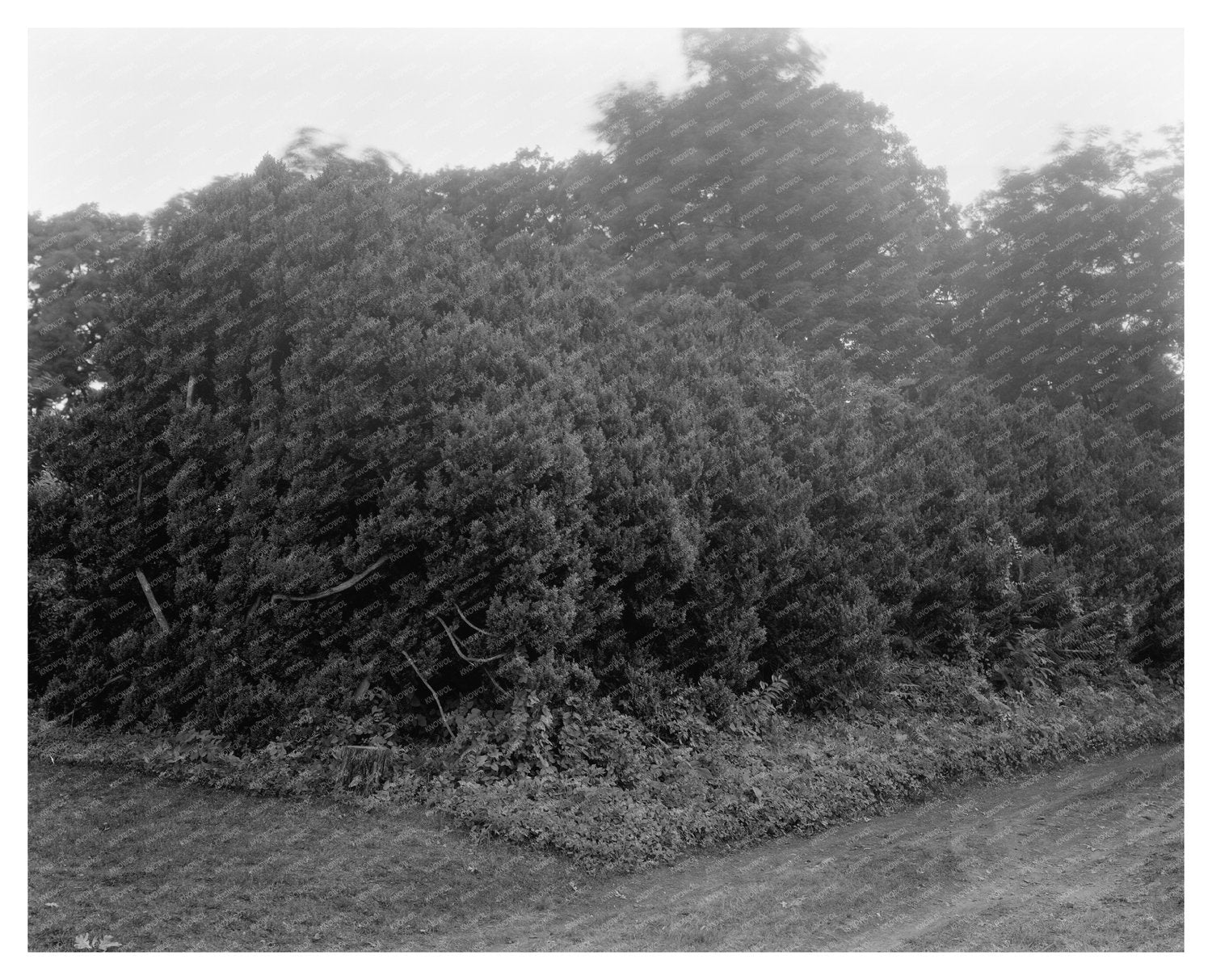 1822 Historical Building in Orange County, Virginia