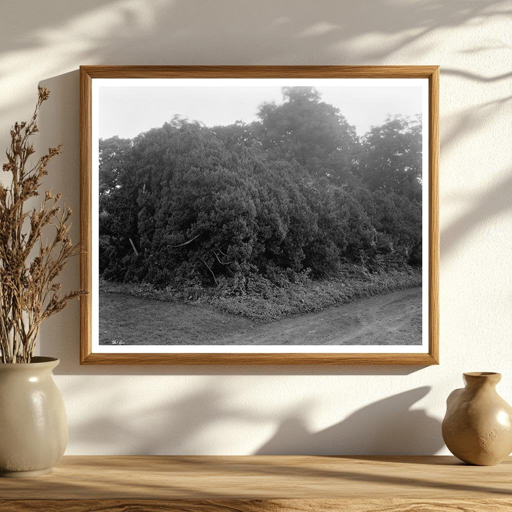 1822 Historical Building in Orange County, Virginia