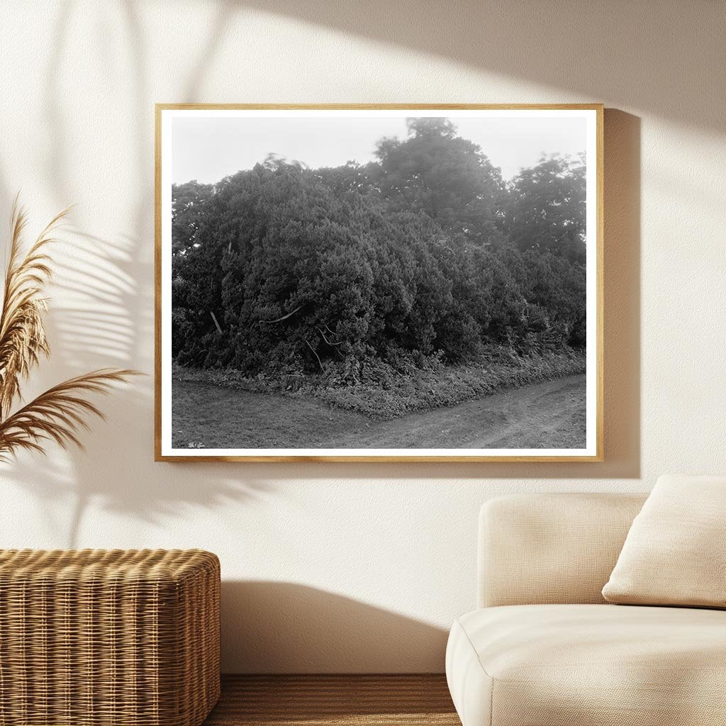 1822 Historical Building in Orange County, Virginia