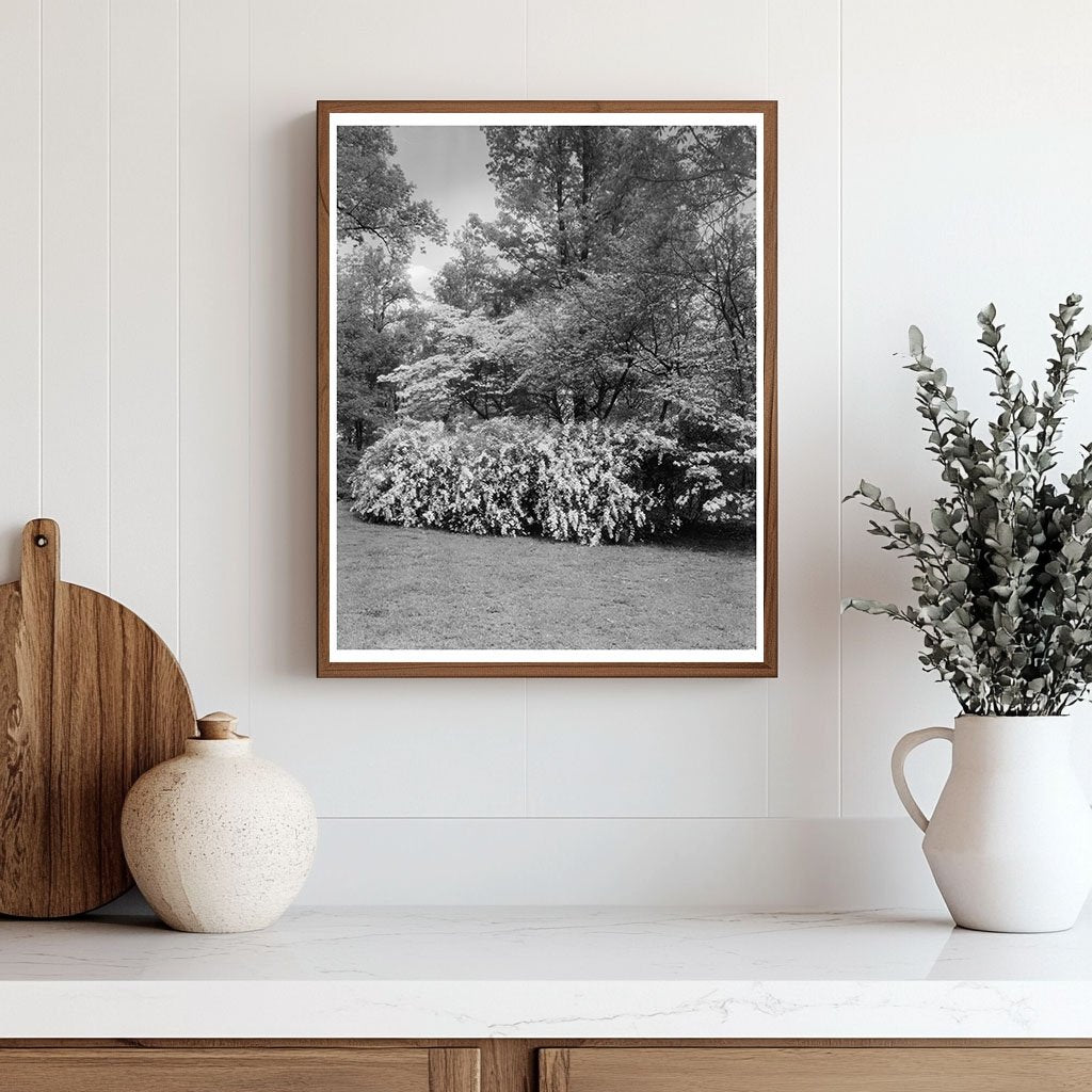 Gordonsville VA Estate Garden Photo, Early 20th Century