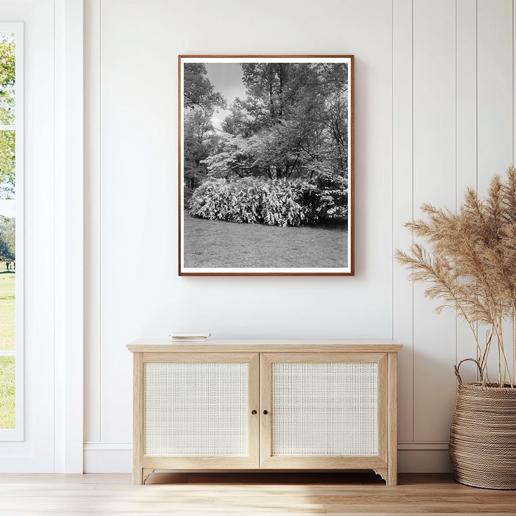 Gordonsville VA Estate Garden Photo, Early 20th Century