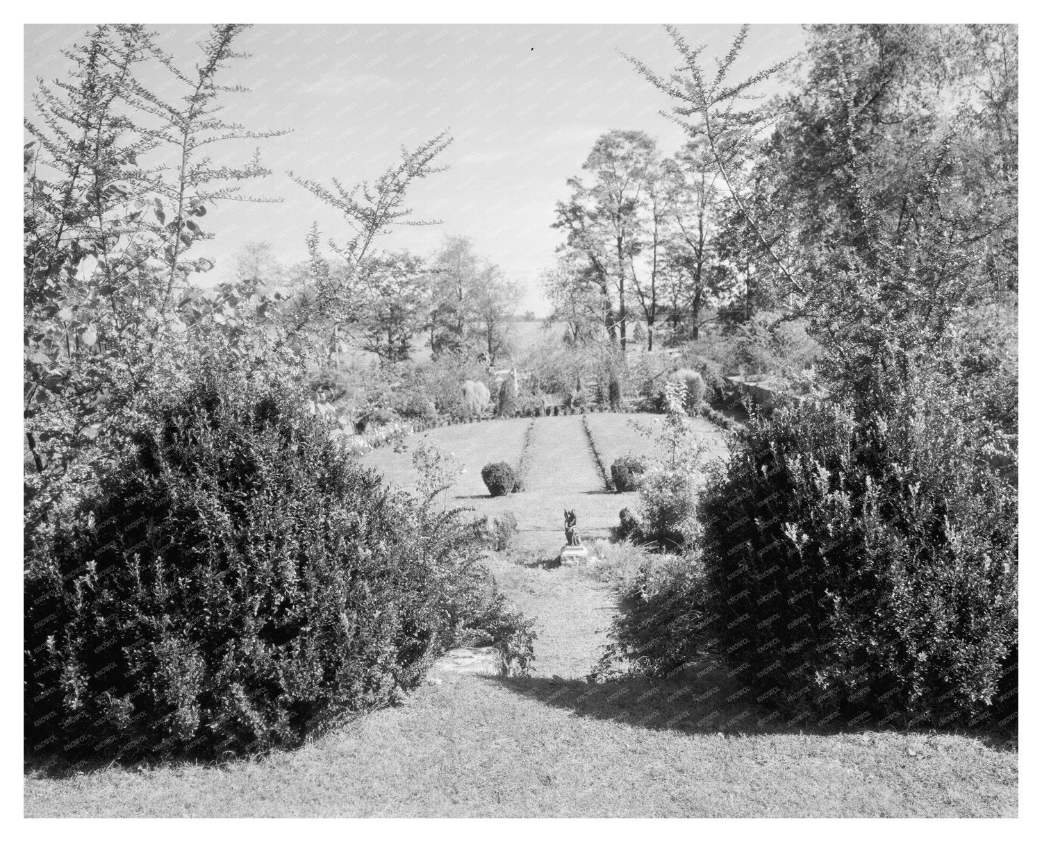 Gordonsville VA Estate Photo, Carnegie Survey, 1953