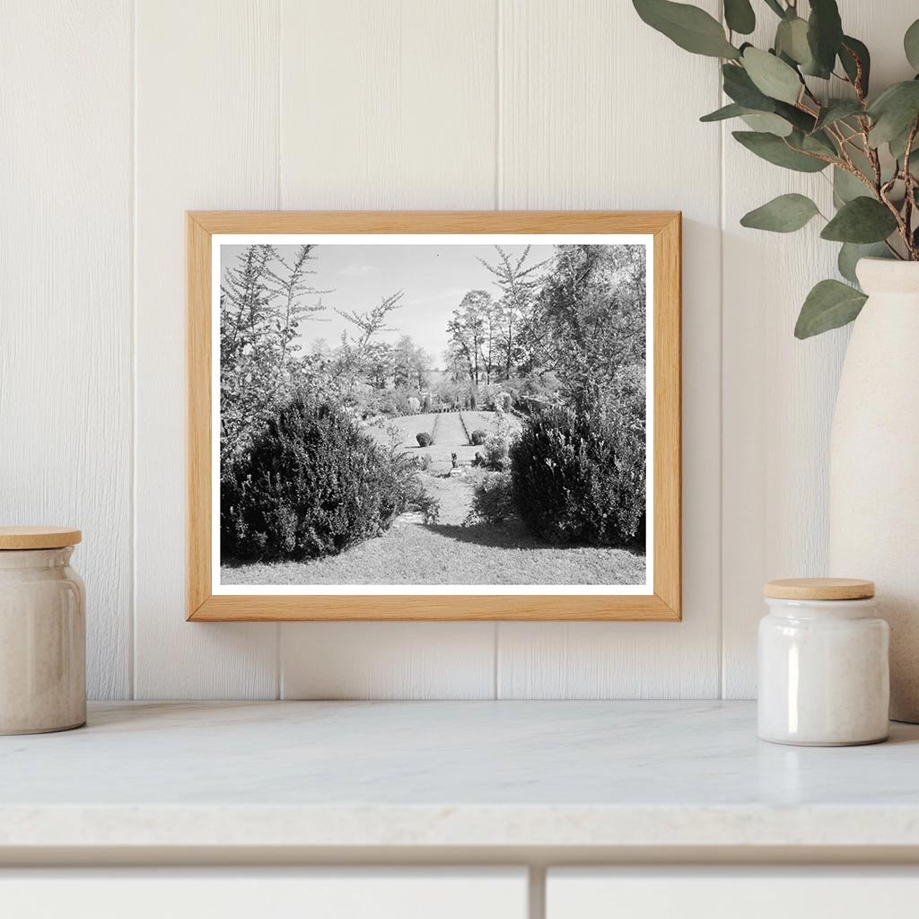 Gordonsville VA Estate Photo, Carnegie Survey, 1953