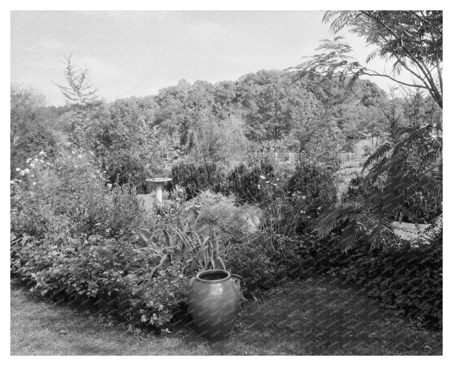 Gordonsville VA Garden Estate Photo 1953