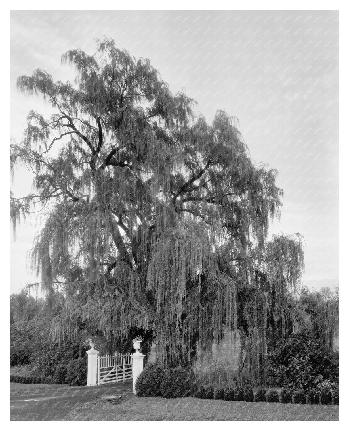 Vintage Gardens of Orange County, VA - 1760 History