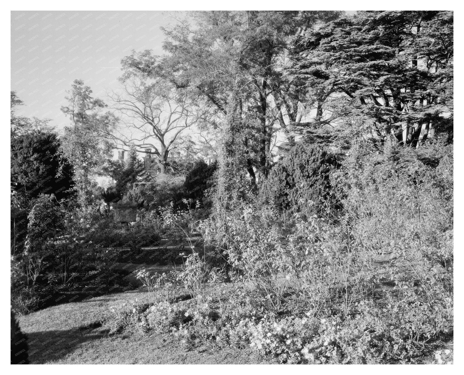 Gardens of Historic Orange County, VA - 1760 Estate