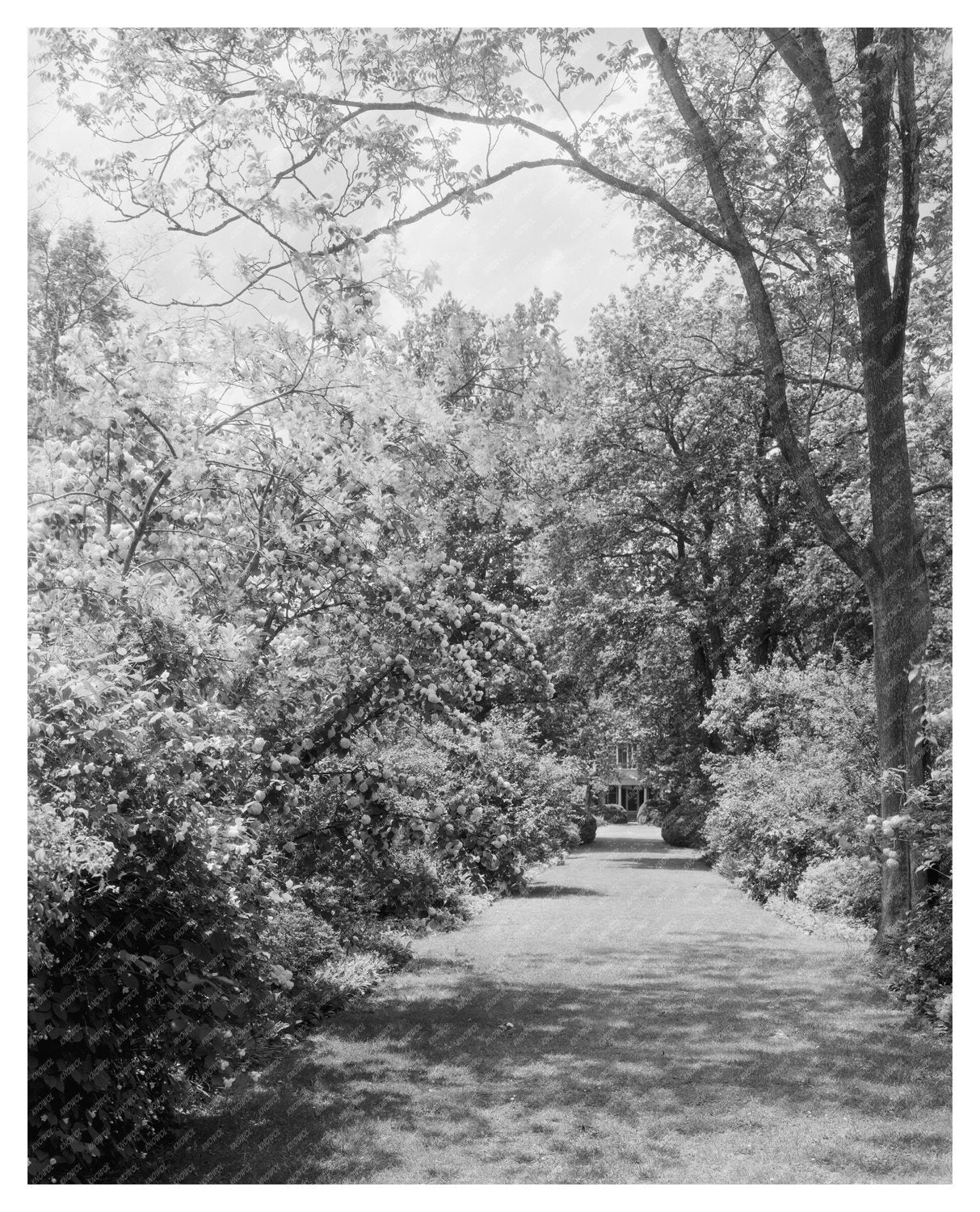 Historic Estate in Surry, VA - 1730 Architecture Photo