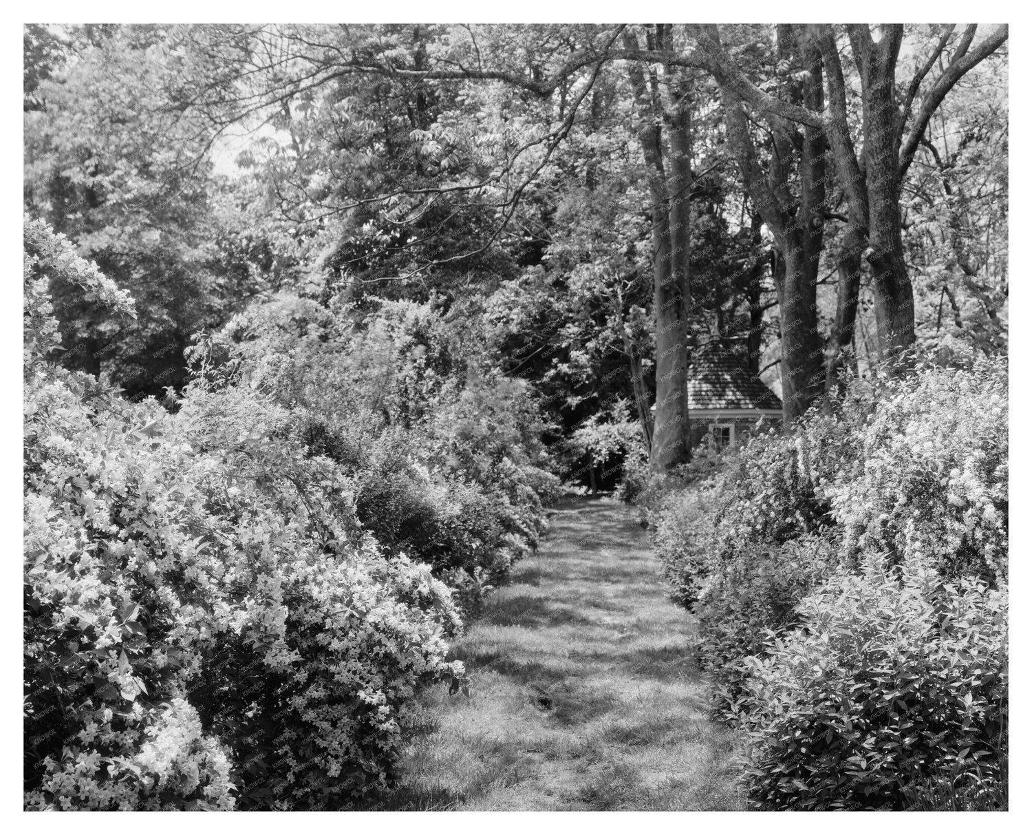 Historic Estate in Surry, VA - Circa 1730 Photo