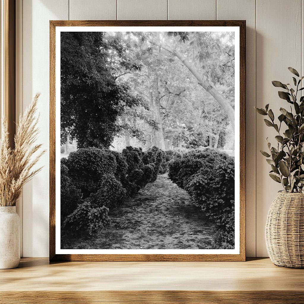 Surry Estate, Virginia 1730, Jefferson Design 1789