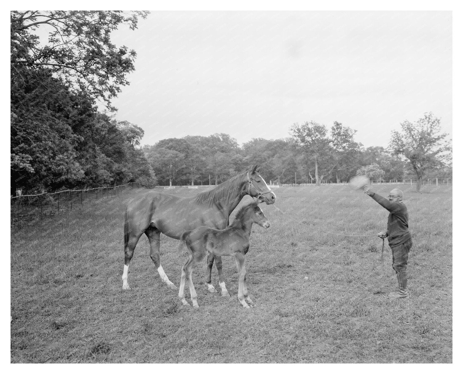 Historical Estate in Surry, Virginia, 1730-1789