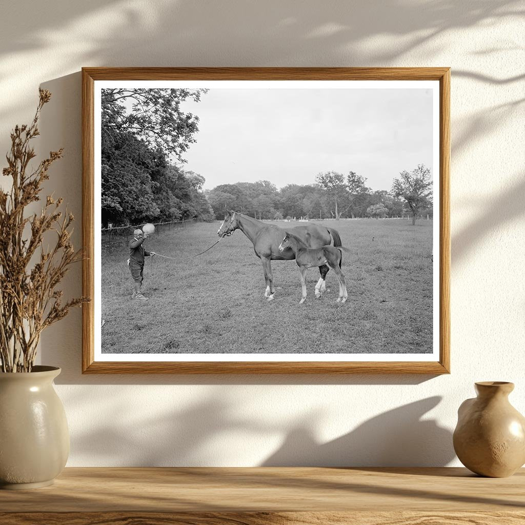 Historic Estate in Surry, Virginia, 1730 & Jeffersons Design