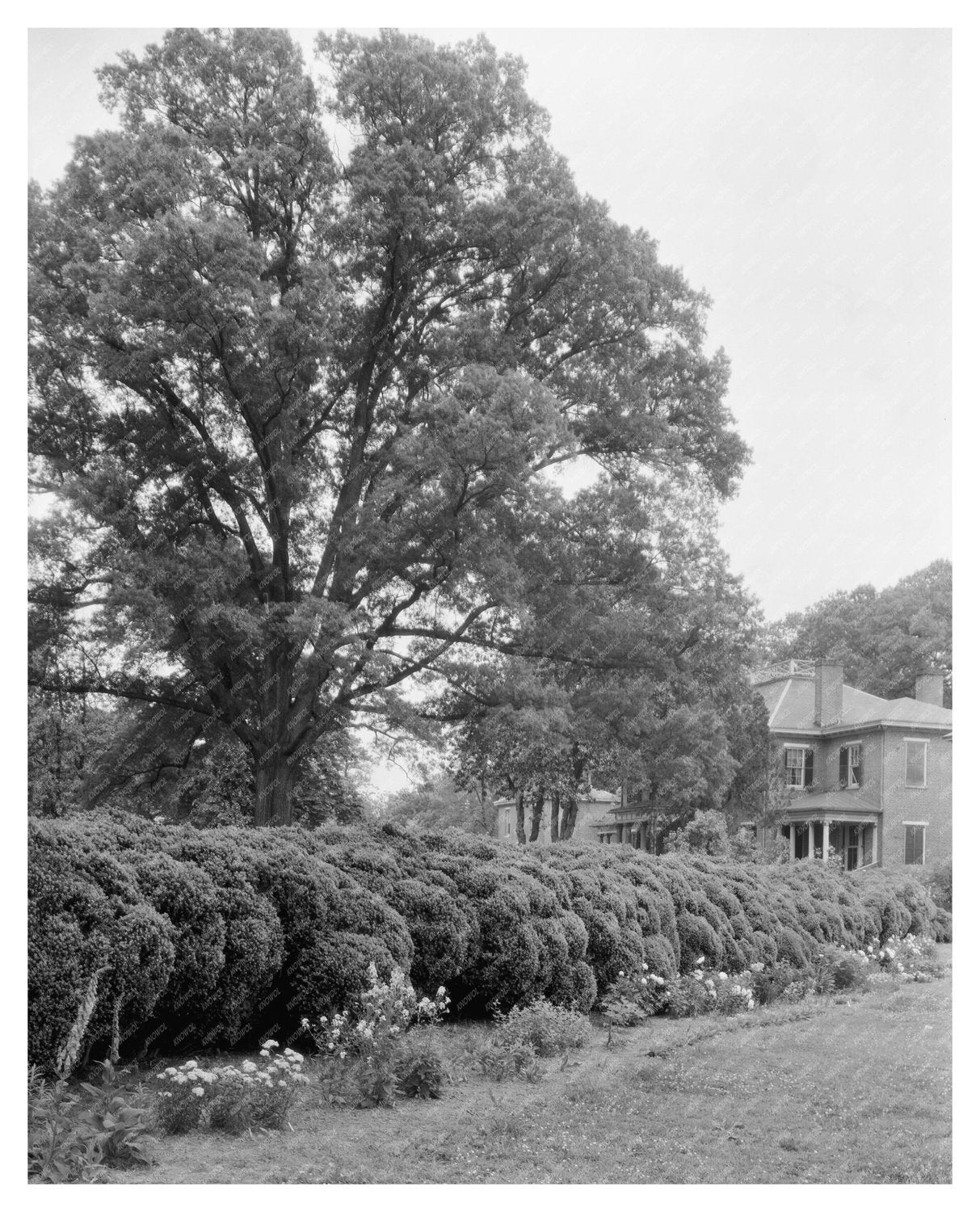 Historic Estate in Prince George County, VA - 1800s