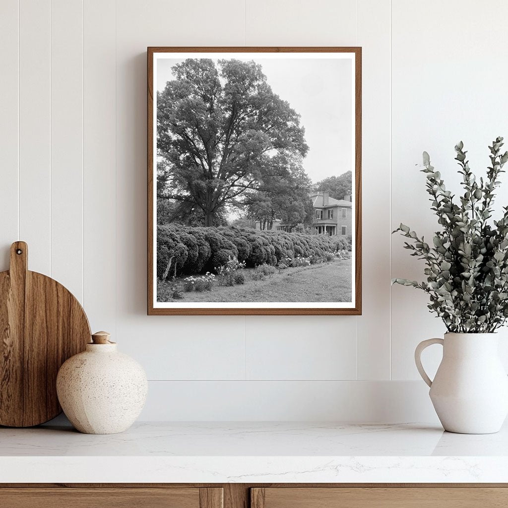 Historic Estate in Prince George County, VA - 1800s