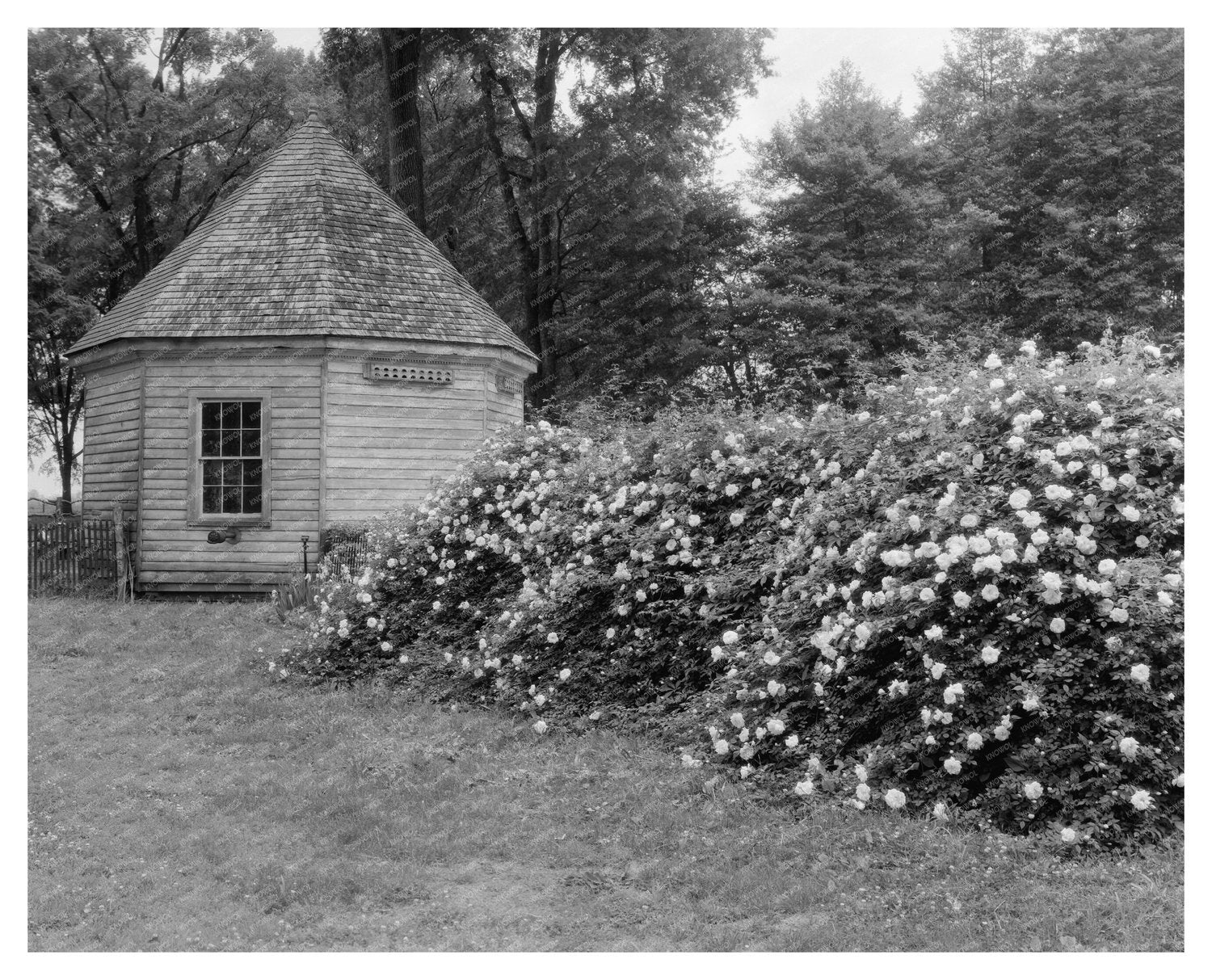 Historic Estate in Prince George County, Virginia, 1800s