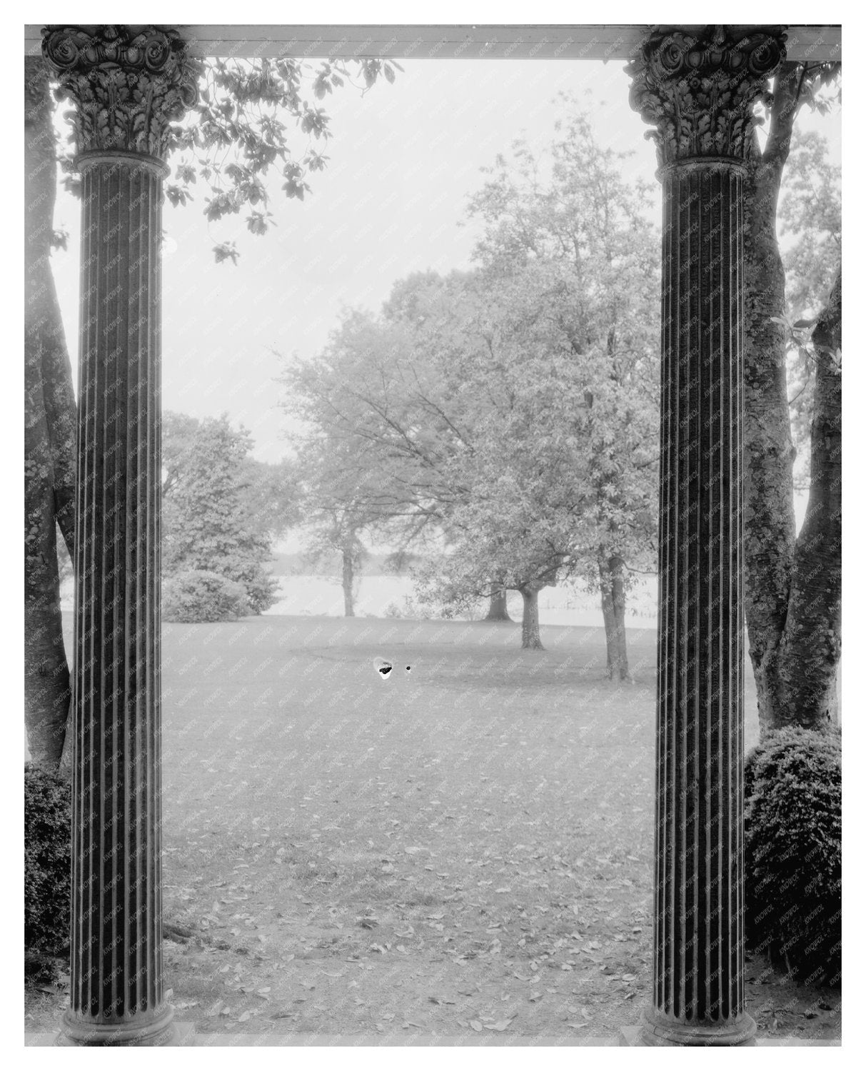 Early 1800s Architecture in Prince George County, VA