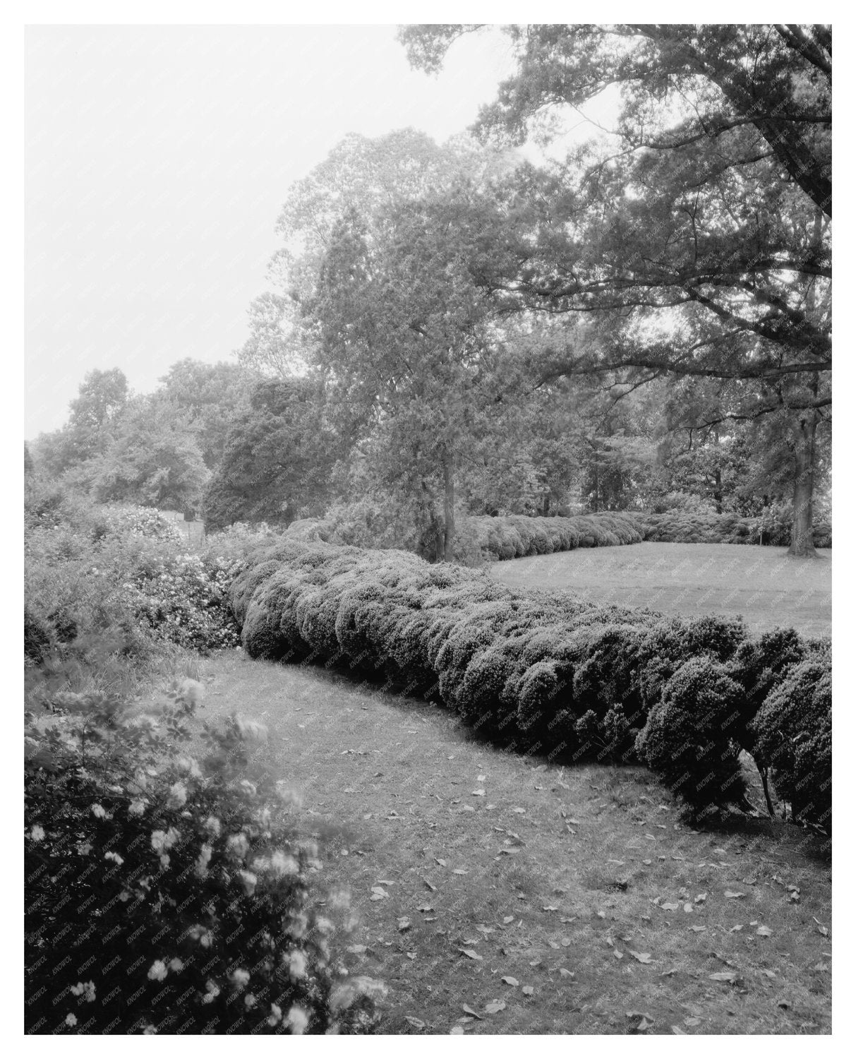 Prince George County Virginia Estate Photo 1800s