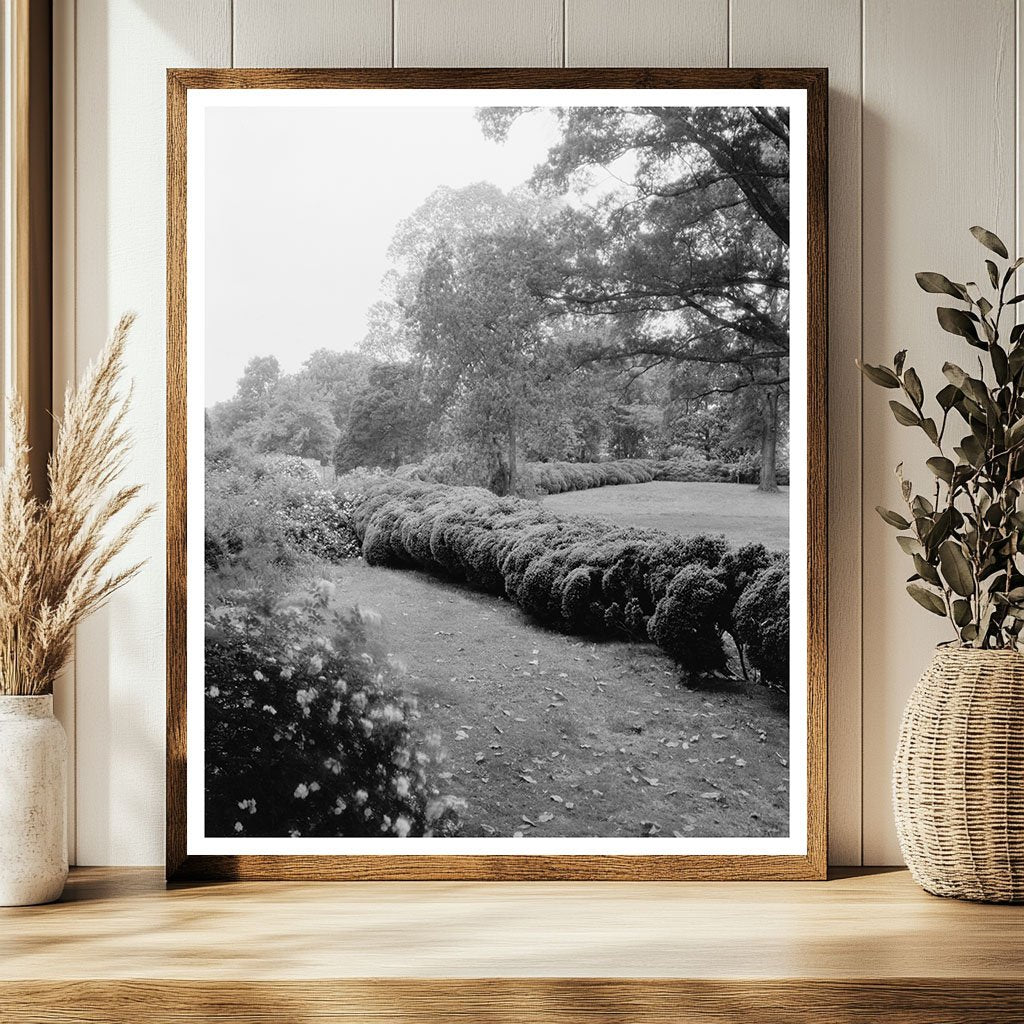 Prince George County Virginia Estate Photo 1800s