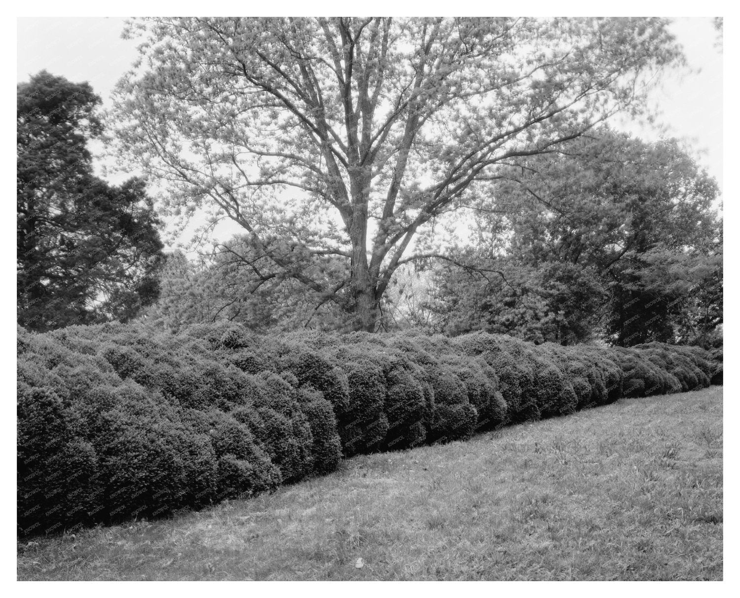 Early 1800s Estate in Prince George County, VA