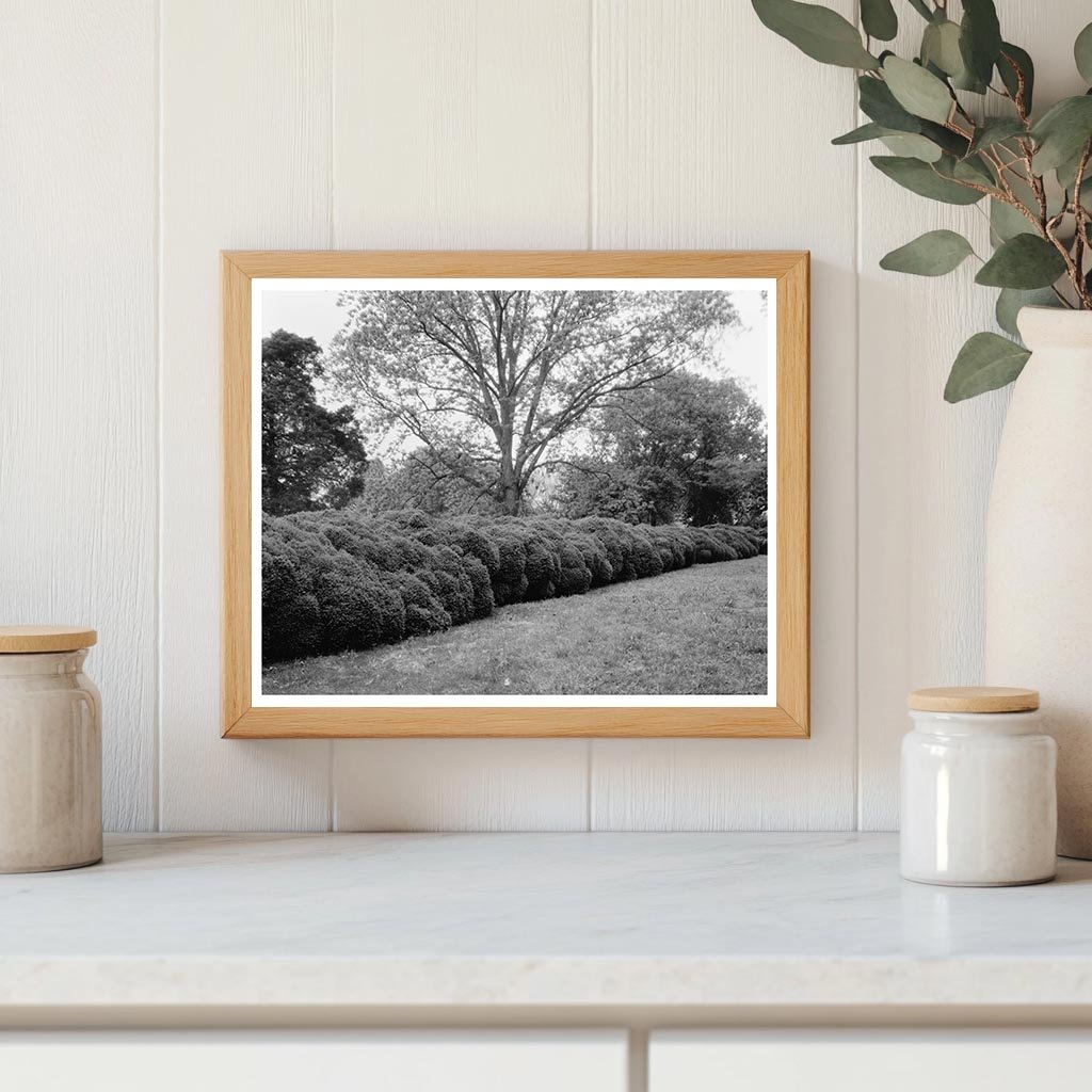 Early 1800s Estate in Prince George County, VA