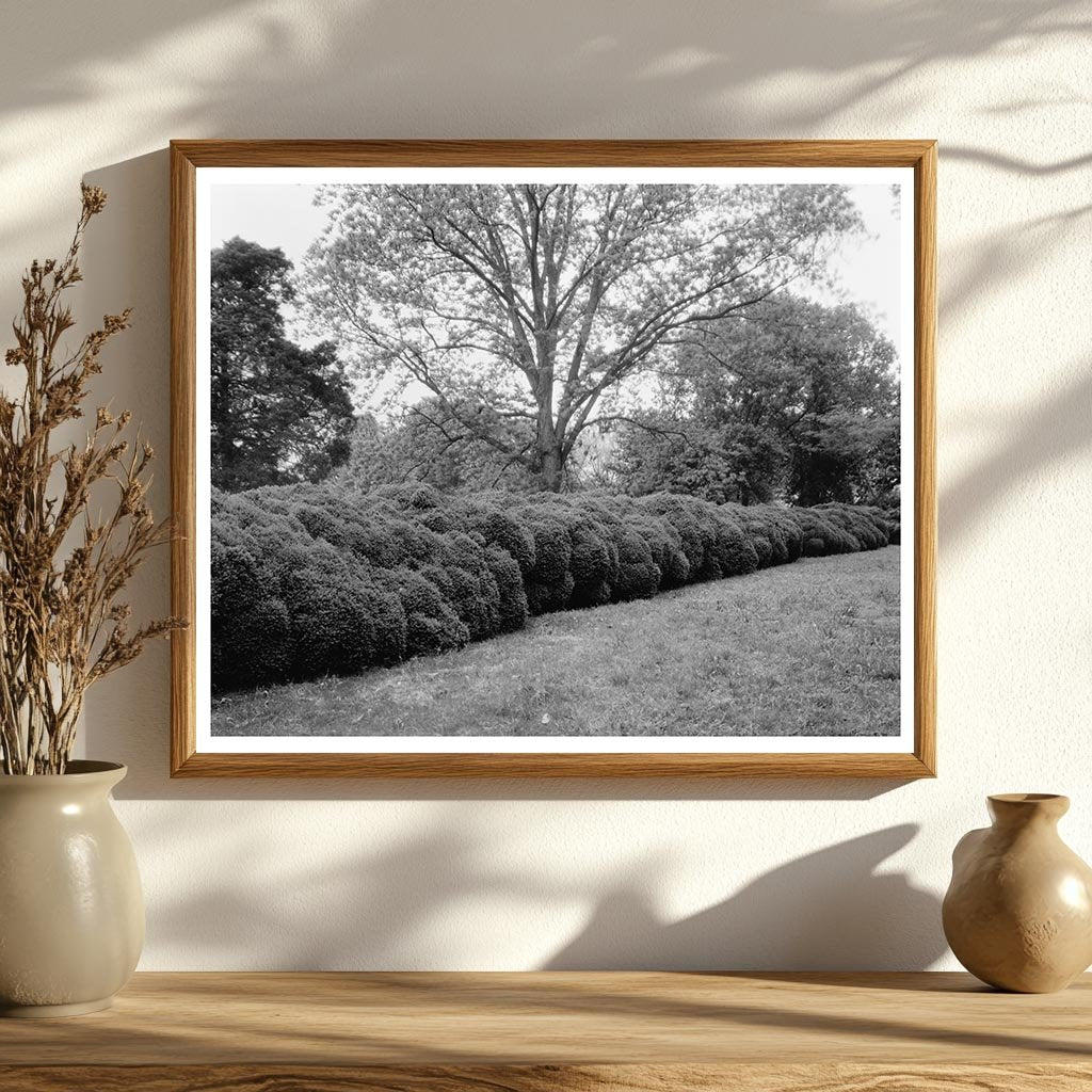 Early 1800s Estate in Prince George County, VA