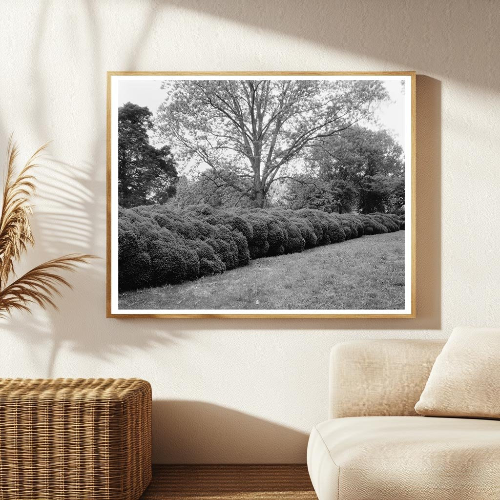 Early 1800s Estate in Prince George County, VA