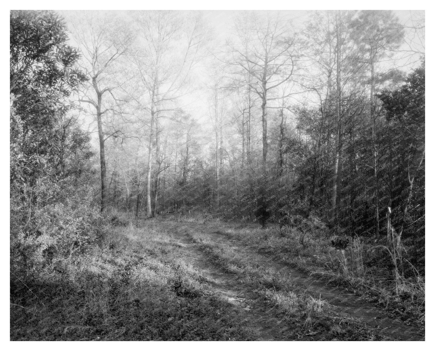 Early 20th Century Architecture in Princess Anne County, VA