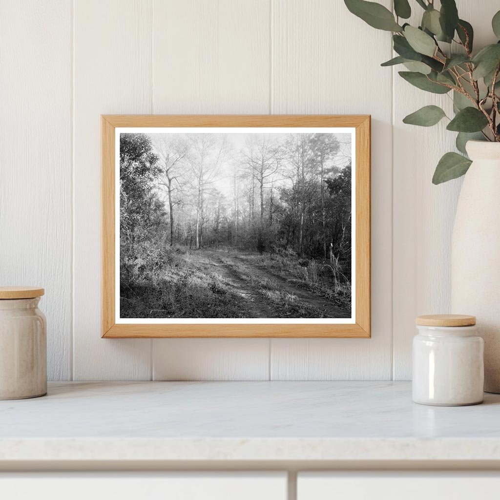 Early 20th Century Architecture in Princess Anne County, VA