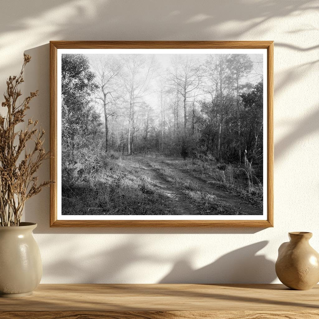 Early 20th Century Architecture in Princess Anne County, VA