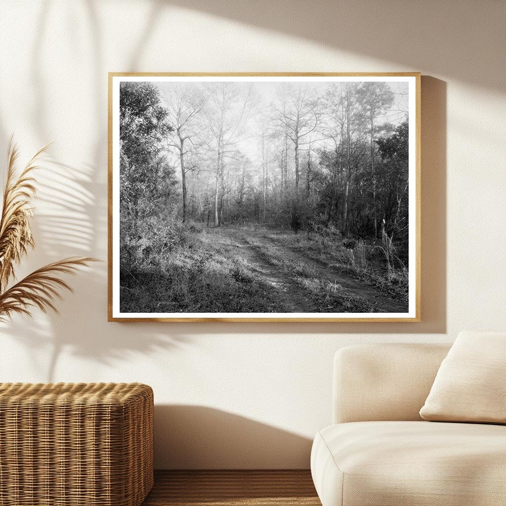 Early 20th Century Architecture in Princess Anne County, VA