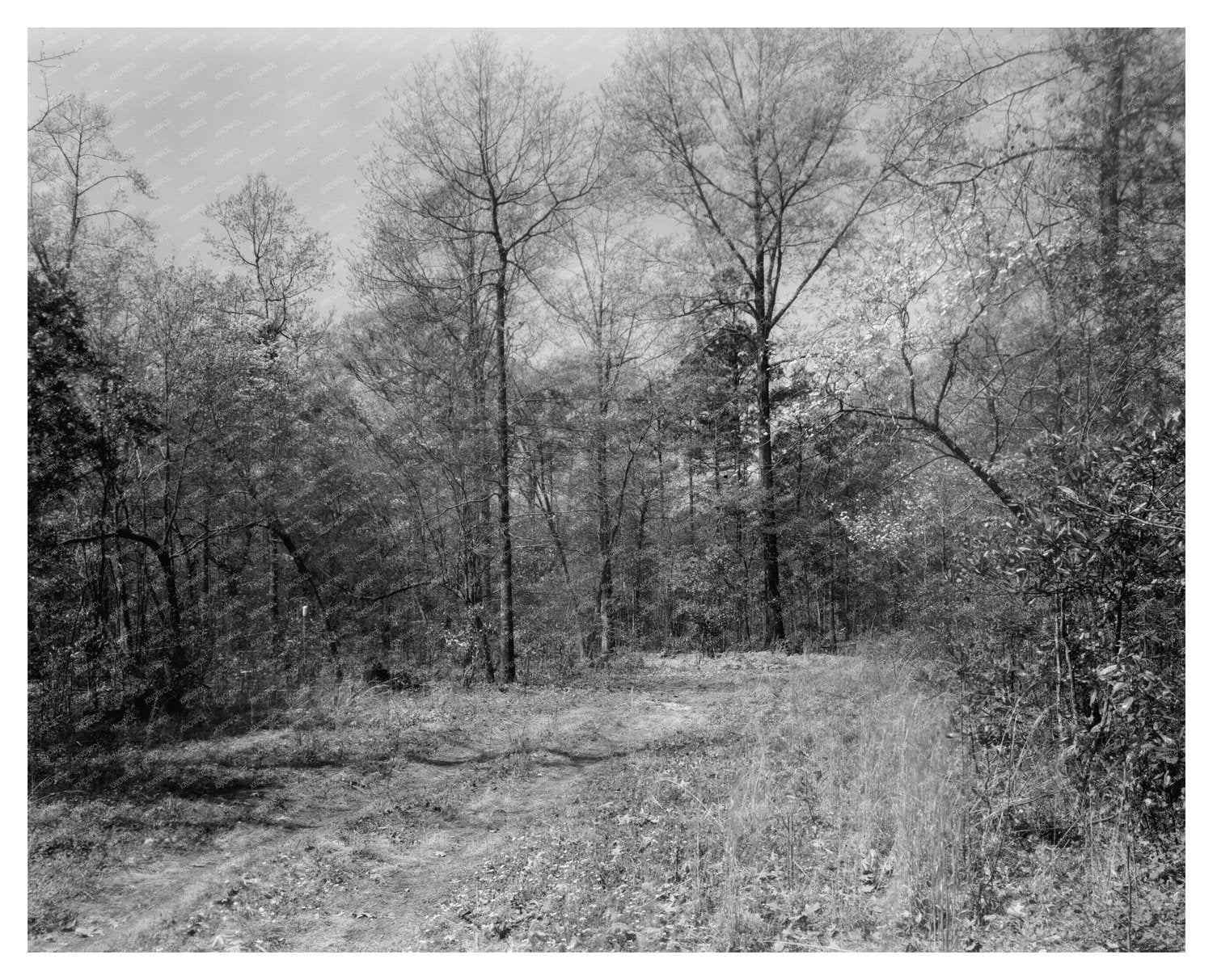 1910 Princess Anne County Virginia Architecture Photo